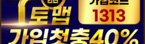 토토사이트-토맵-595x292